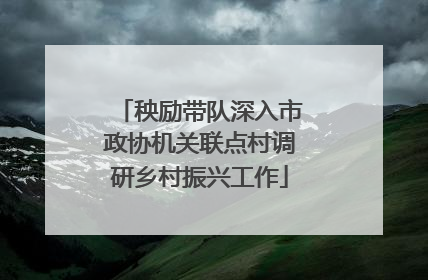 秧励带队深入市政协机关联点村调研乡村振兴工作